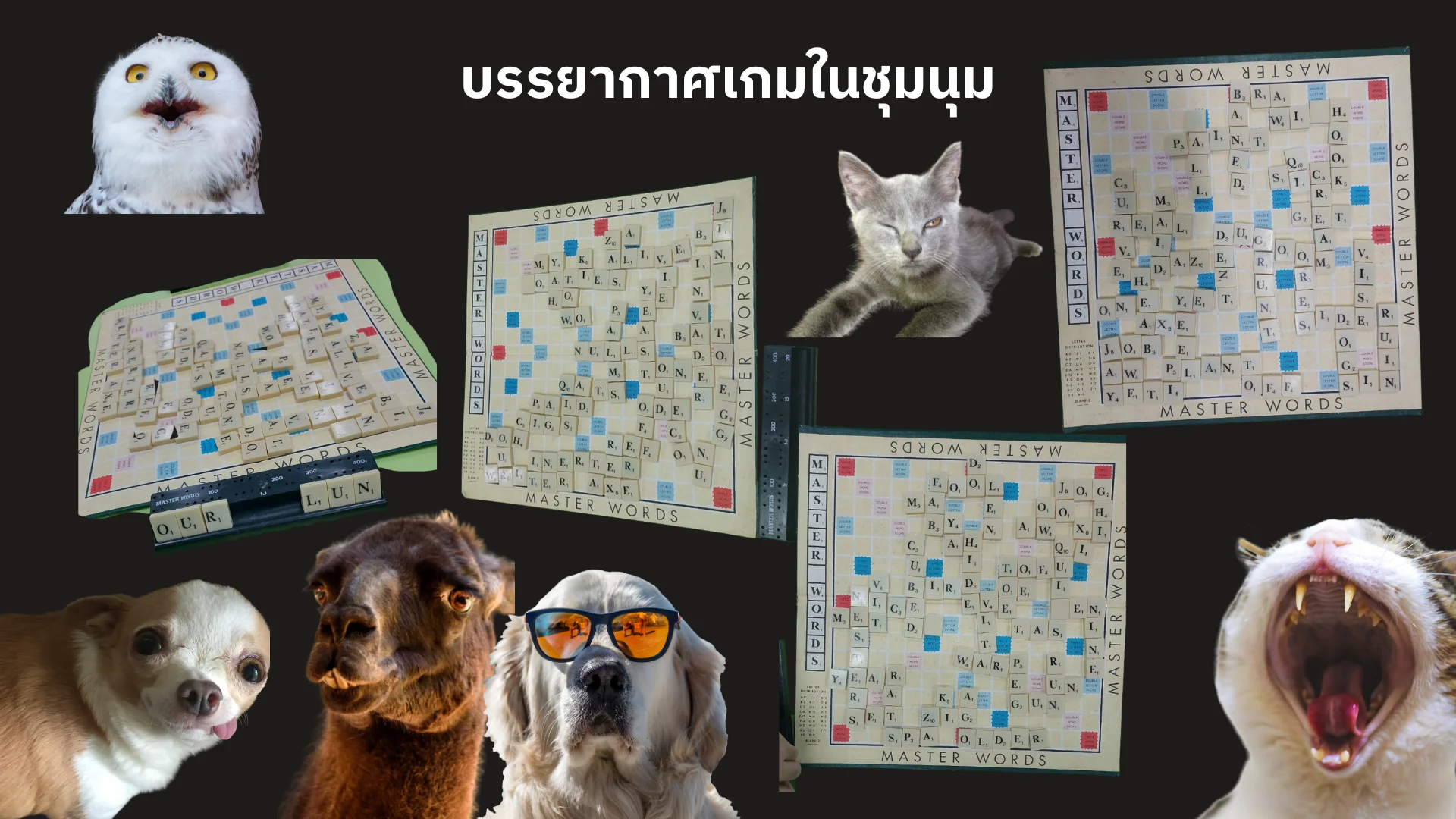 มาเล่นสแคร็บเบิลกันเถอะ activity image 3