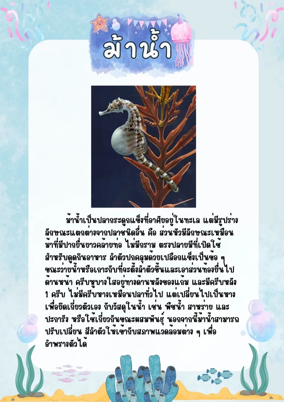 แอเรียลจะพาไปดูของดี activity image 1