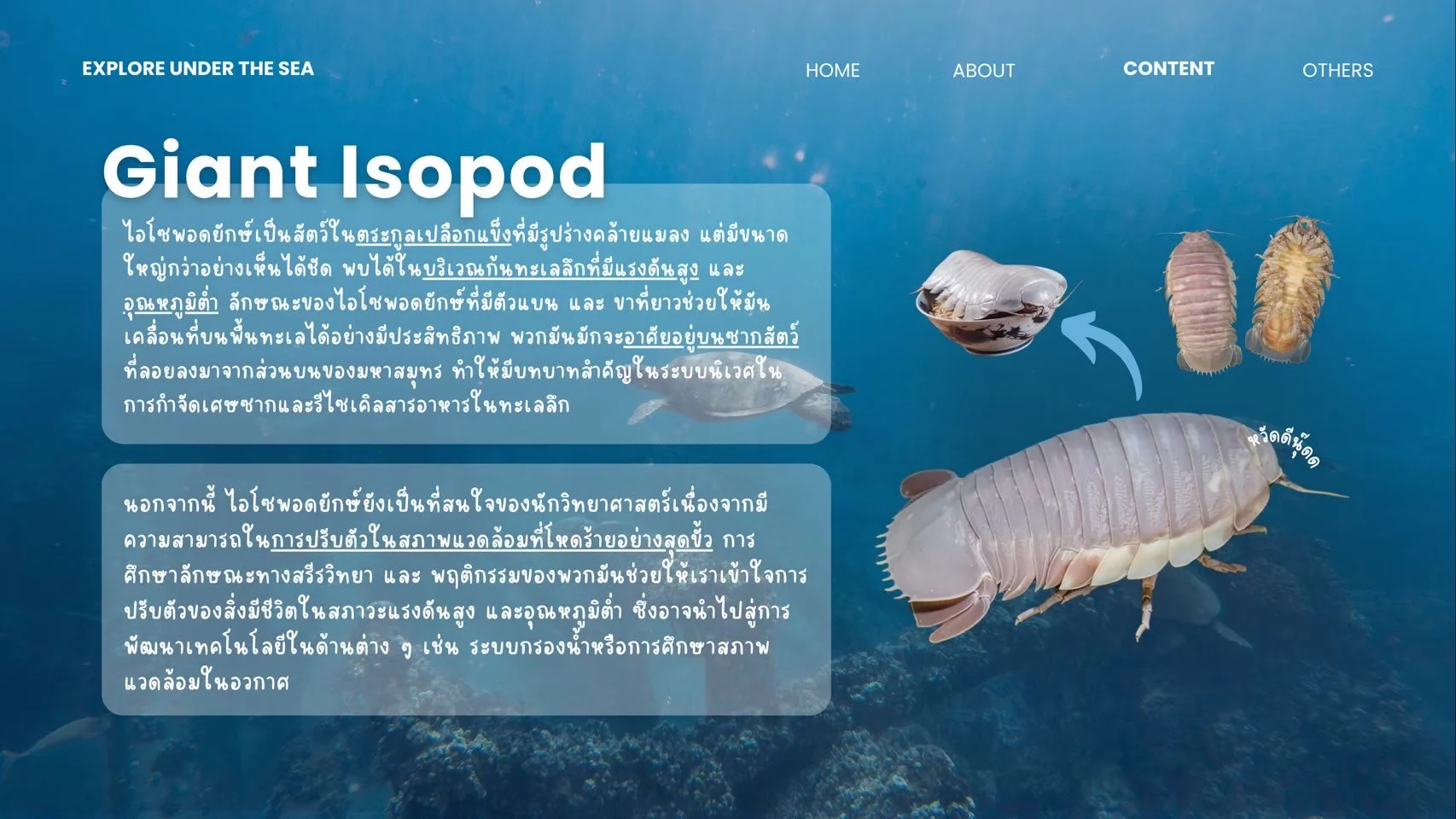 แอเรียลจะพาไปดูของดี activity image 3