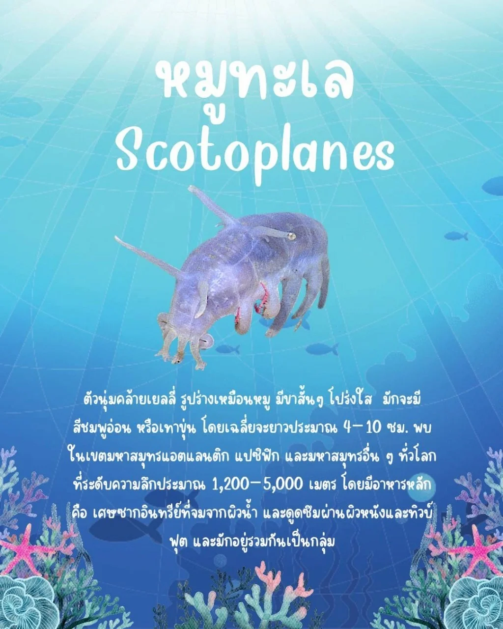 แอเรียลจะพาไปดูของดี activity image 4