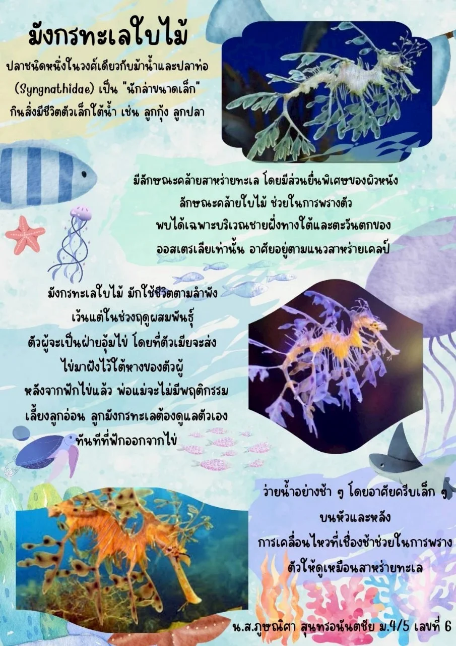 แอเรียลจะพาไปดูของดี activity image 5