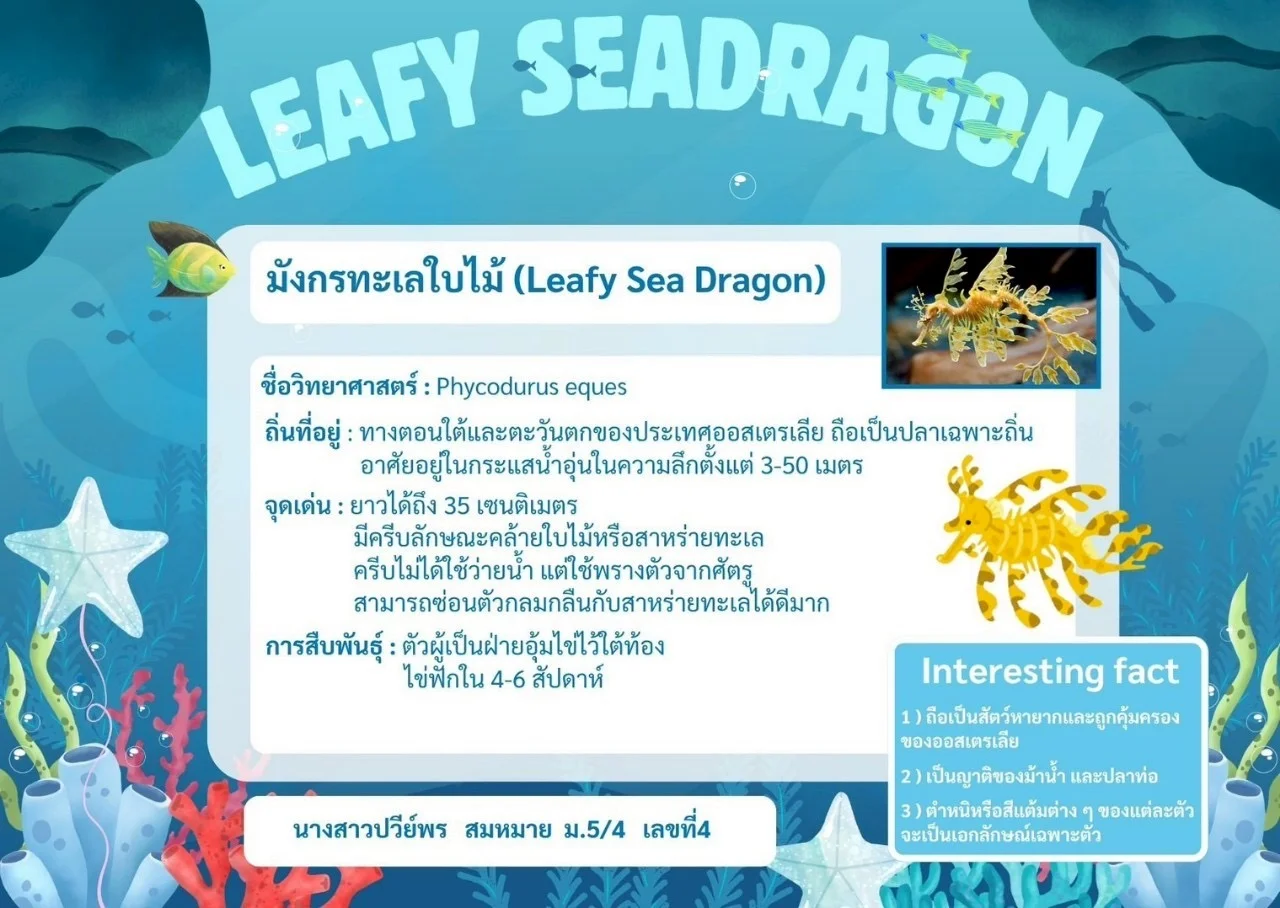 แอเรียลจะพาไปดูของดี activity image 7
